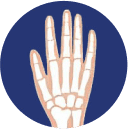 Wrists