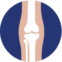 Knees