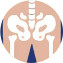 Pelvic-femoral joints